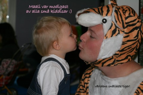 modiga Maali vågar pussa tigern!