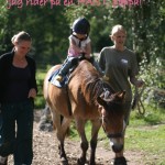 Maali på ett Gotlandsruss! - Borås Djurpark, 4aug Maali på ett Gotlandsruss! - Borås Djurpark, 4aug