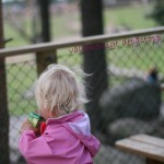 kyligt lunchbrejk - Borås Djurpark, 4aug kyligt lunchbrejk - Borås Djurpark, 4aug