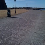 20110315-011911.jpg