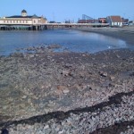 20110315-011959.jpg