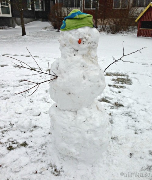 snögubbe 24jan15