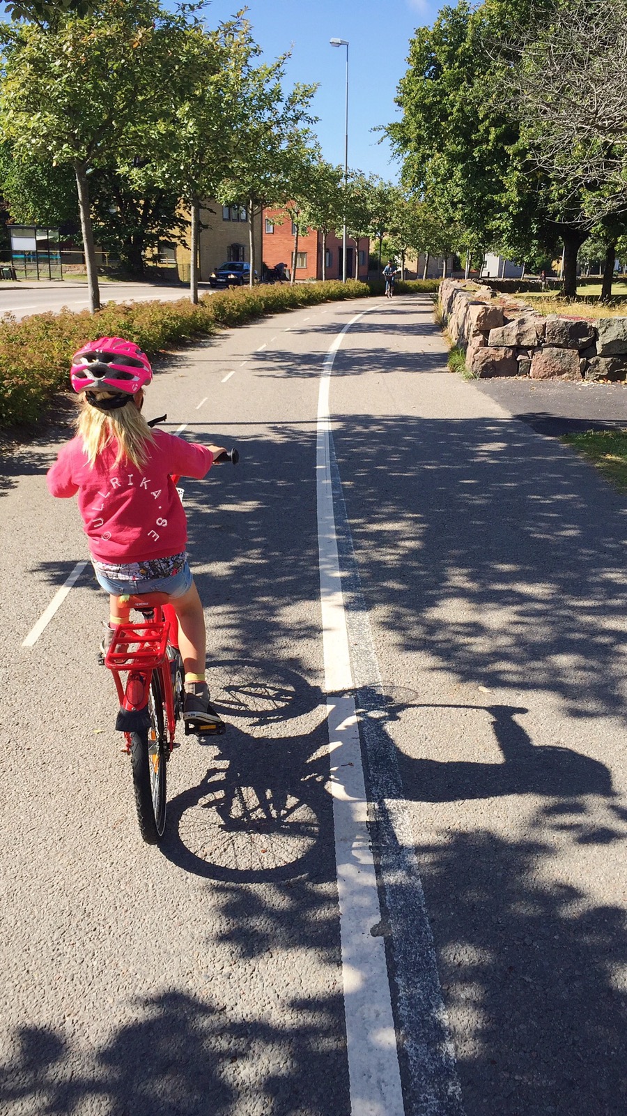 hemvägssällskap på Träslövsvägen - 27aug16