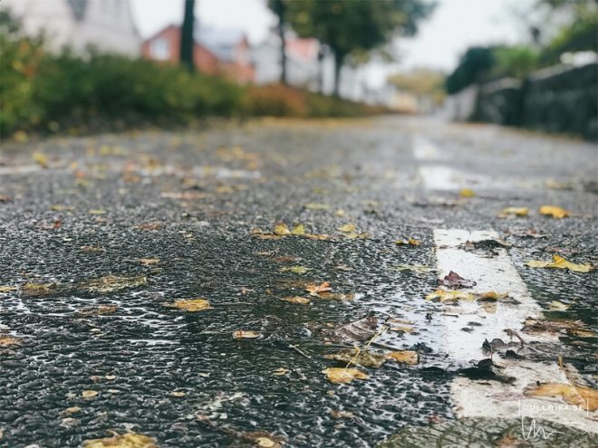 Höst på Träslövsvägen, 25okt17